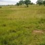 Land for Sale, proteanrealestate.com, Protean Real Estate Company Limited, Real Estate Companies, Real Estate In Ghana, Properties For Sale, Properties For rent